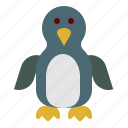 penguin, bird, animal, zoo, wildlife