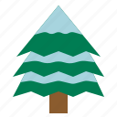 pine, tree, snow, pinetree, christmastree
