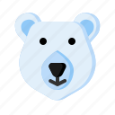 bear, polar bear, animal, winter