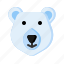 bear, polar bear, animal, winter 