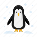 penguin, bird, winter, cold