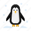 penguin, bird, winter, cold 
