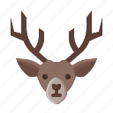 reindeer, wildlife, winter, holiday