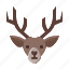 reindeer, wildlife, winter, holiday 