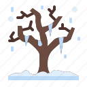 tree, dry tree, winter tree, nature