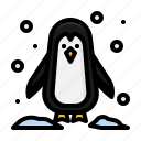 penguin, bird, ice, winter
