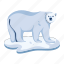 polar bear, wild creature, bear animal, wild animal, ursus maritimus 