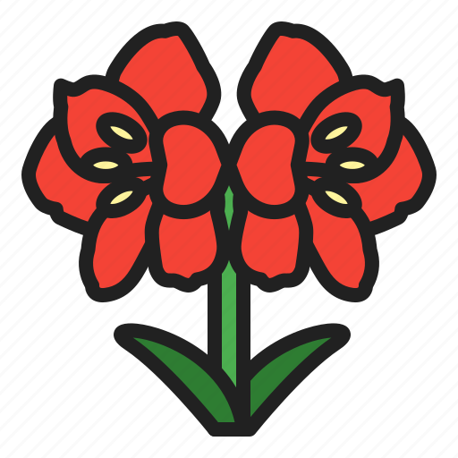 Amaryllis, bloom, christmas, flower, gardening, plants, winter icon - Download on Iconfinder
