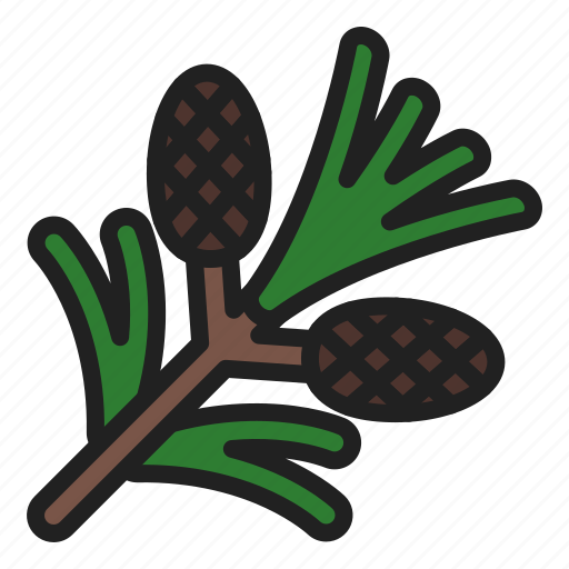 Christmas, cone, nature, pinecone, plants, tree, winter icon - Download on Iconfinder