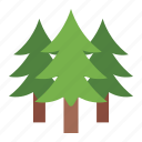 pine, tree, winter, nature, christmas, xmas