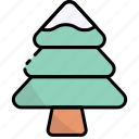 pine, winter, tree, christmas, snow, nature, plant