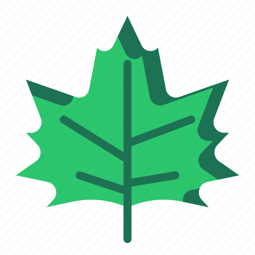 Leaf, plant, winter, leaves icon - Download on Iconfinder