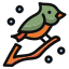 birds, bird, fly, animal, wildlife, branch 