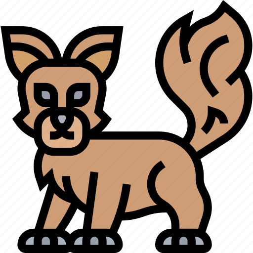 Fox, arctic, wildlife, animal, polar icon - Download on Iconfinder