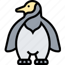 penguin, bird, animal, wildlife, antarctica