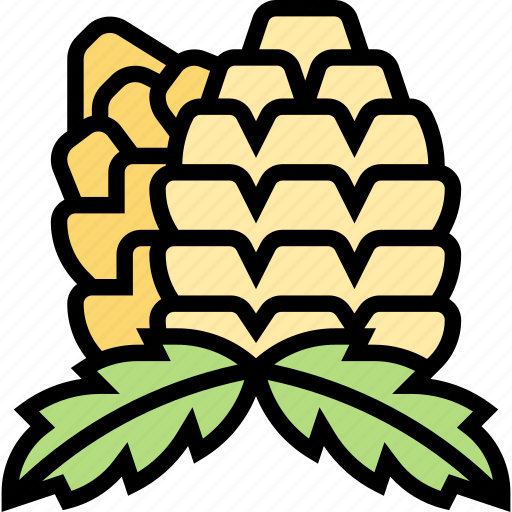 Pinecone, fir, plant, nature, decoration icon - Download on Iconfinder