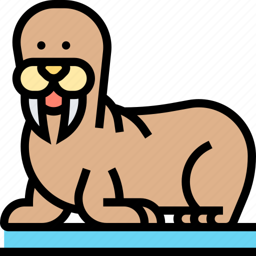 Walrus, wildlife, animal, arctic, marine icon - Download on Iconfinder