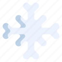 winter, snowflake, snow, decoration, flake, ice, frost
