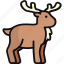 reindeer, arctic, deer, zoo, stag, wild animal, buck 