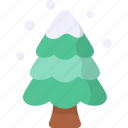 pine tree, snowfall, snowy, winter season, nature, conifer tree, snow