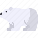 polar bear, animal, arctic, wild animal, zoo, wildlife, north pole