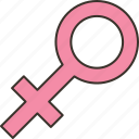 female, gender, women, girl, sex