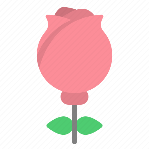 Rose, flower, blossom, nature, petals, romance, love icon - Download on Iconfinder