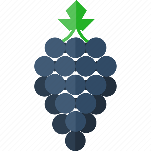 Bunch, cluster, fruit, grapes, natural, snack icon - Download on Iconfinder