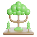tree, christmas, ecology, forest, plant, nature, green 