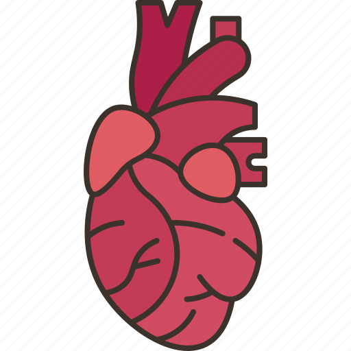 Heart, cardiology, organ, health, human icon - Download on Iconfinder