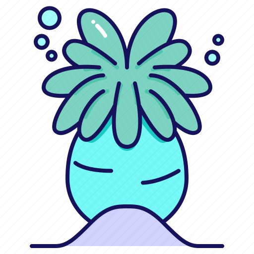 Anemone, ocean, animal, sea, nature icon - Download on Iconfinder