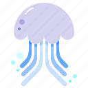 jellyfish, ocean, animal, sea, nature 
