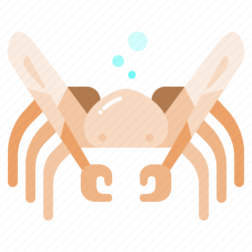 Spider, crab, ocean, animal, sea, nature icon - Download on Iconfinder