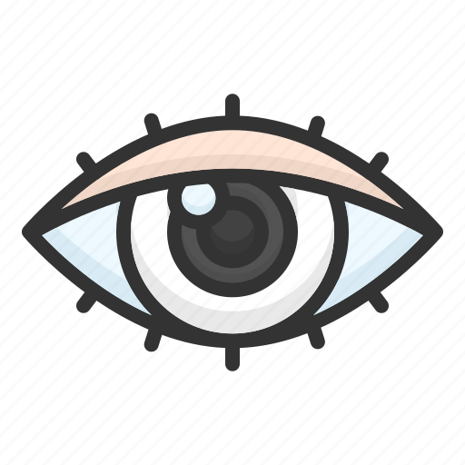 Eyes, eye, sight, human, anatomy, of, the icon - Download on Iconfinder