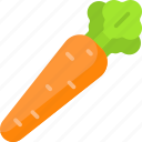 carrot, vegetable, healthy, organic