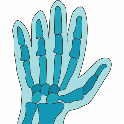 Hand, fingers, bone, film, anatomy icon - Download on Iconfinder