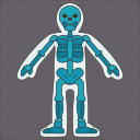 xray, body, skeleton, human, anatomy