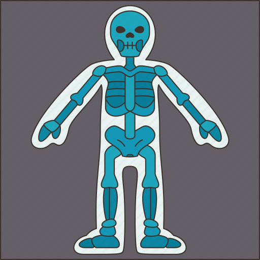 Xray, body, skeleton, human, anatomy icon - Download on Iconfinder