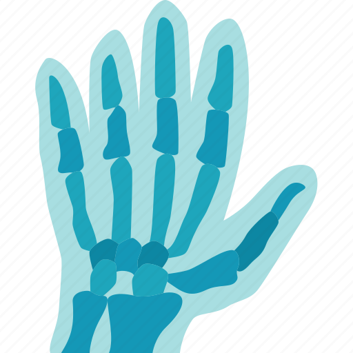 Hand, fingers, bone, film, anatomy icon - Download on Iconfinder