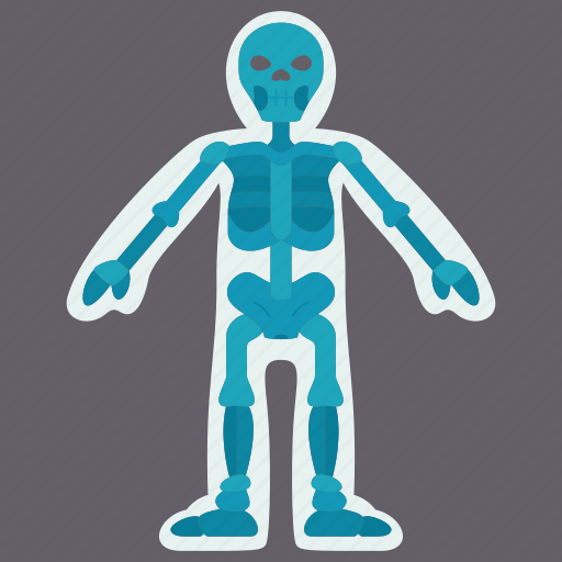 Xray, body, skeleton, human, anatomy icon - Download on Iconfinder
