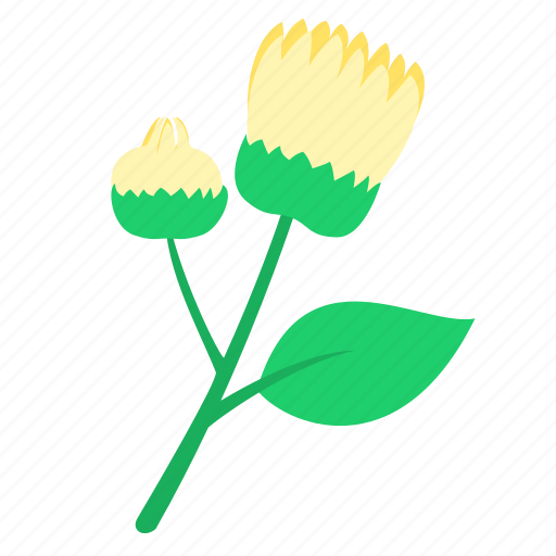 Bud, daisy, floral, nature, ornament icon - Download on Iconfinder