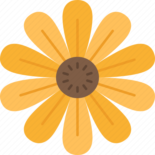 Black, eyed, susan, flower, blossom icon - Download on Iconfinder