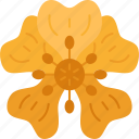 cinquefoils, floral, plant, yellow, blossom