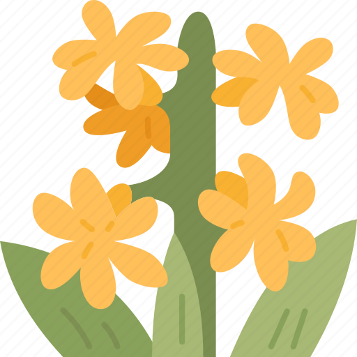 Hyacinth, flower, spring, blossom, fragrant icon - Download on Iconfinder