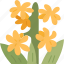 hyacinth, flower, spring, blossom, fragrant 