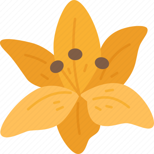 Lily, flower, blossom, petal, garden icon - Download on Iconfinder