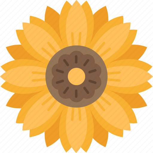 Sun, flower, yellow, blossom, garden icon - Download on Iconfinder