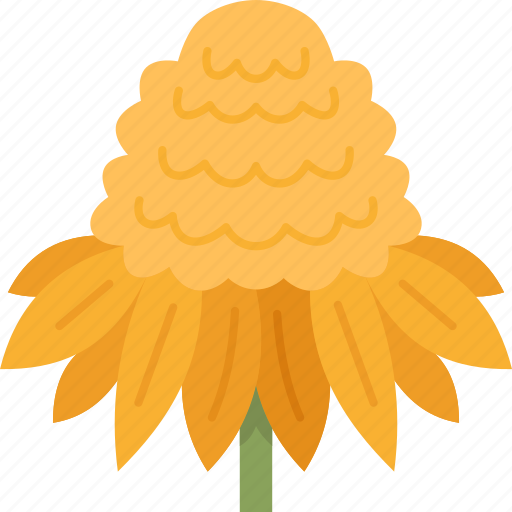 Yellow, cone, flower, blossom, garden icon - Download on Iconfinder
