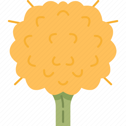 Billy, buttons, flower, yellow, blossom icon - Download on Iconfinder