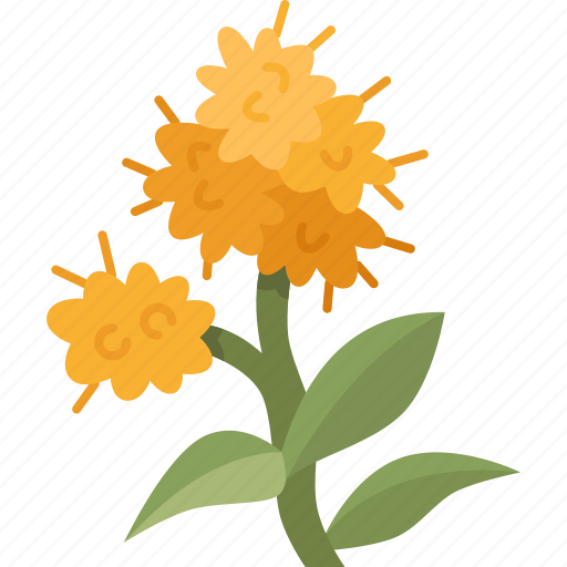 Golden, rod, flower, blossom, yellow icon - Download on Iconfinder